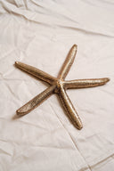 Starfish Ornament Small