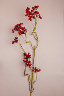 Red Berry Sticks