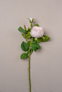 Blush Pink Roses Long