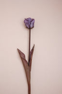 Purple Tulip Floral Stem