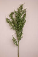 Pine Branch Green