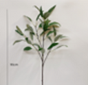 Nordic Olive Leaf