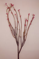 Spring Branches Pink