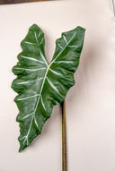 Salian Leaves Green