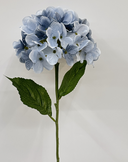 Hydrengea Sky Blue