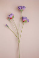 Lavender Poppy Stem