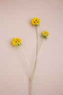 Yellow Button Flower