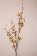 Green Berry Branch