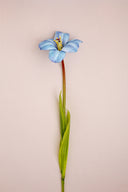 Blue Lily Stem