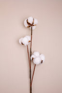 Cotton Flower Sticks
