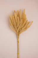 Dried Bunny Tails