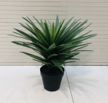 PERMANENT BOTONICALS