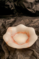 Sculpted Shell Plate