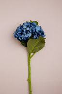 Hydrangea Light Blue 1
