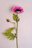 Purple Poppy Floral Stem