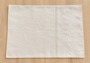 Latte Lico Table Runner With Flower Emb(PP)