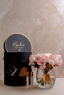Soft Blossom Fragrance Set